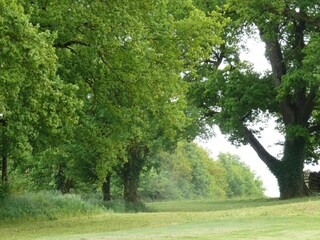 Vakantiehuis Faverolles Omgeving 36