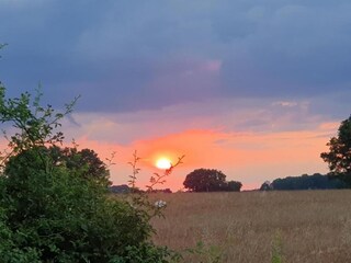 Ferienhaus Faverolles Umgebung 25