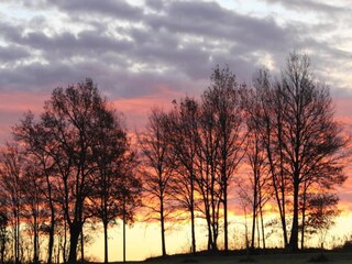 Vakantiehuis Faverolles Omgeving 32