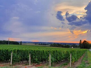 Holiday house Faverolles Environment 32