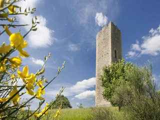 Apartment Sestino Umgebung 27