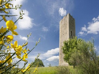 Appartement Sestino Omgeving 27
