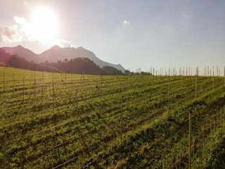 Apartment Sestino Umgebung 28