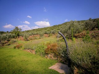Villa Cortona Außenaufnahme 5