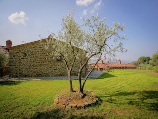 Villa Cortona Außenaufnahme 6