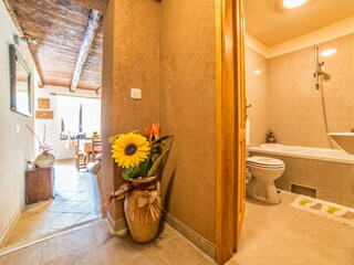 Casa per le vacanze Barban Caratteristiche 20