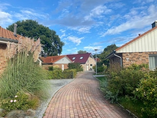 Ferienhaus Pelzerhaken Außenaufnahme 9