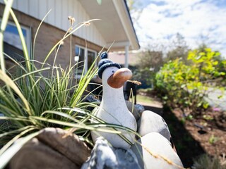 Ferienhaus Pelzerhaken Außenaufnahme 31