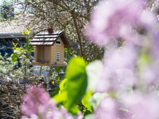 Ferienhaus Pelzerhaken Außenaufnahme 35