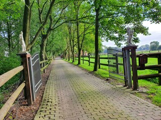 Einfahrt