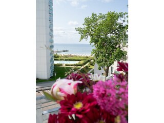 Ferienwohnung Pelzerhaken Außenaufnahme 21