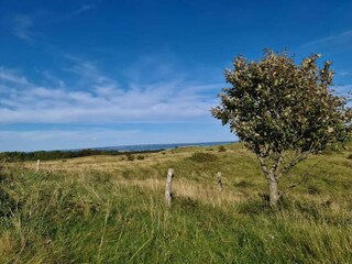 Ferienhaus Knebel  5