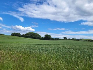 Vakantiehuis Knebel  26