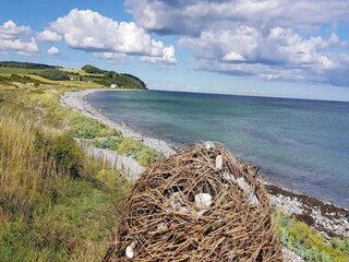 Vakantiehuis Knebel  9