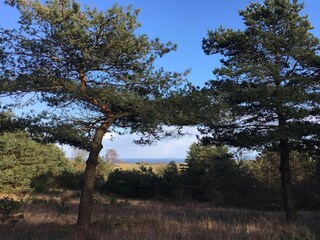 Ferienhaus Knebel  4