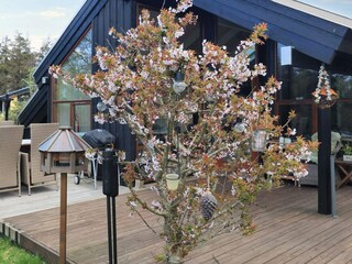 Holiday house Skagen  22