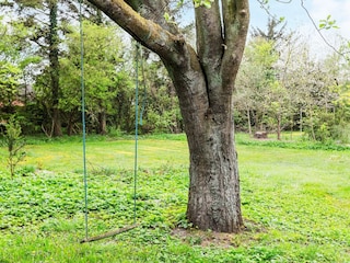 Ferienhaus Vesløs  29