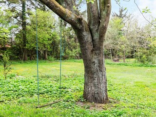 Ferienhaus Vesløs  31