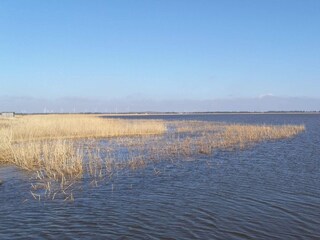 Vakantiehuis Vester Husby Buitenaudio-opname 5