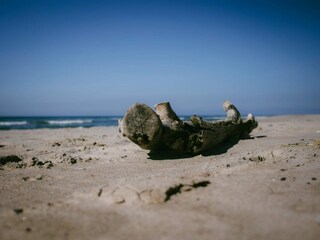 Vakantiehuis Vester Husby  41