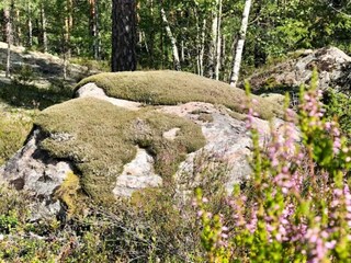 Vakantiehuis Flen  14