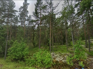 Vakantiehuis Flen  16