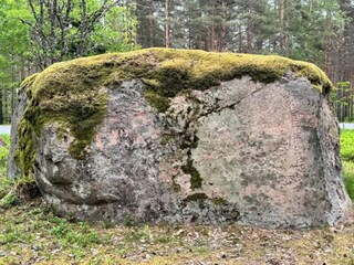 Holiday house Flen  8