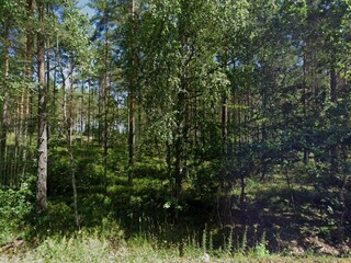 Vakantiehuis Flen  5