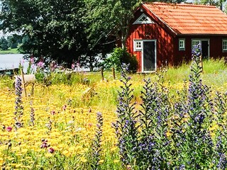 Vakantiehuis Hjaeltevad Buitenaudio-opname 4