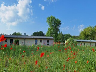 Appartement Blankenberg Buitenaudio-opname 11
