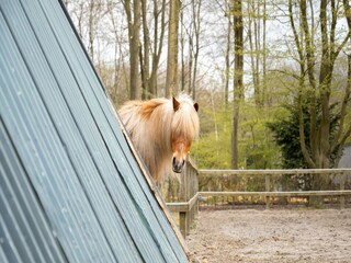 Parc de vacances Ermelo  20