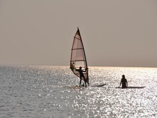 Vakantiepark Ermelo Omgeving 15