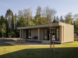 Parc de vacances Lodge avec une terrasse spacieuse à Horsterwold - Ermelo - image1