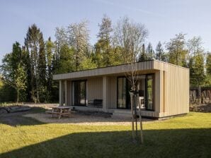 Ferienpark Lodge mit großer Terrasse in Horsterwold - Ermelo - image1