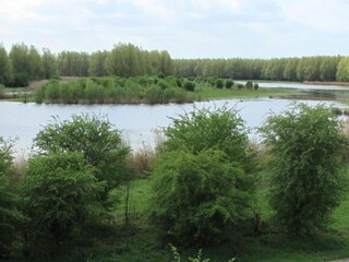 Parque de vacaciones Ermelo Entorno 13