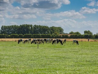 Ferienhaus Oostkapelle Außenaufnahme 17
