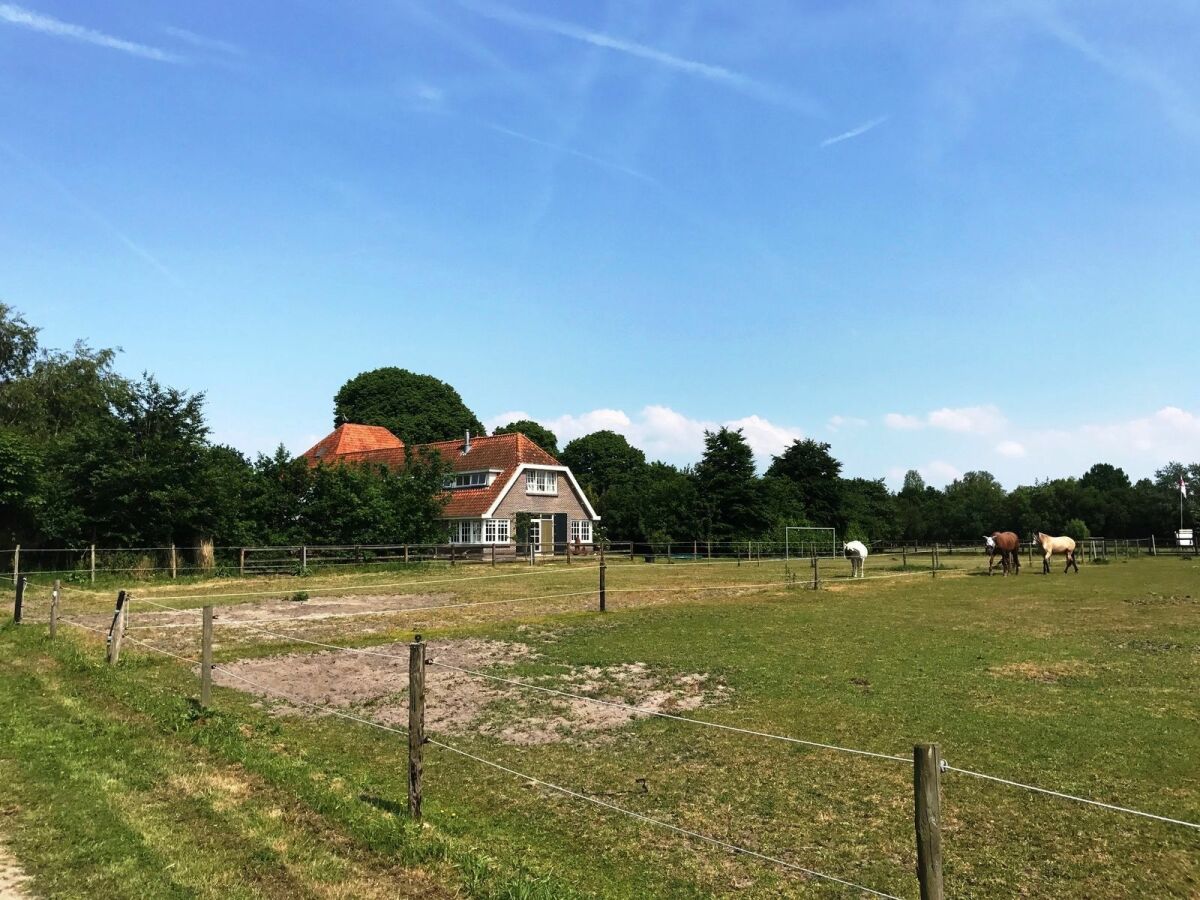 Holiday house Schoorl Outdoor Recording 1