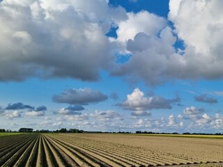 Casa de vacaciones Vierhuizen Grabación al aire libre 23