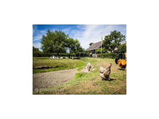 Casa de vacaciones Oostkapelle Grabación al aire libre 3