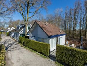 Holiday house Vakantiehuis Zoutelande