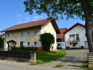 Ferienwohnung Appartementhaus Anita - Bad Füssing - image1