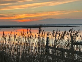 Bodden