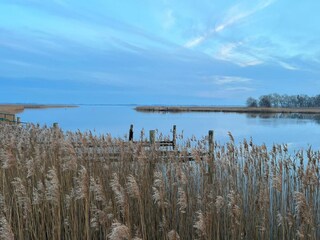 Bodden