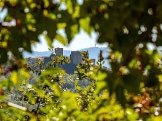 Casa per le vacanze Caseneuve Ambiente 19