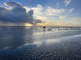 Wattenmeer