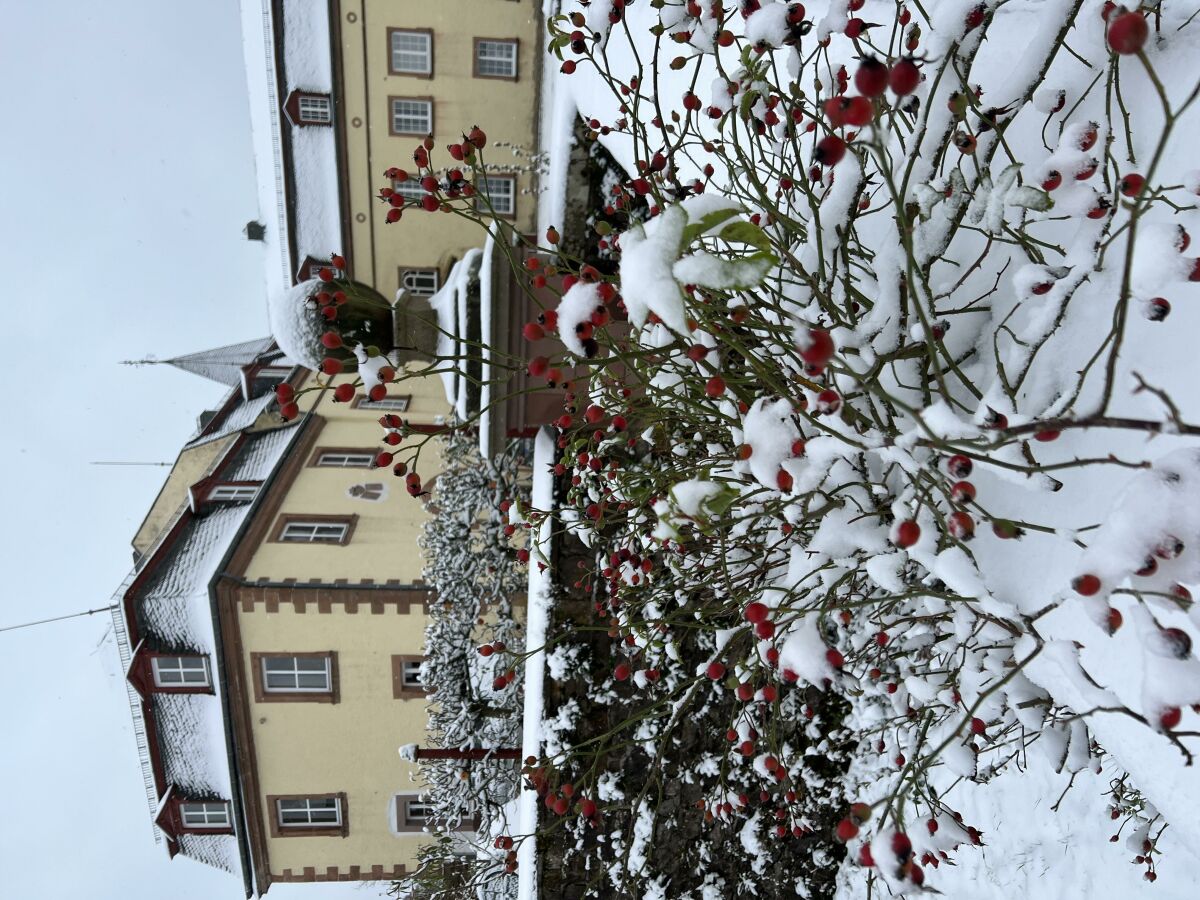 Schloss Winter