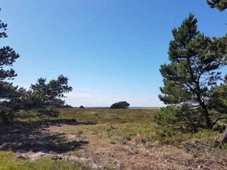Vakantiehuis Læsø  15