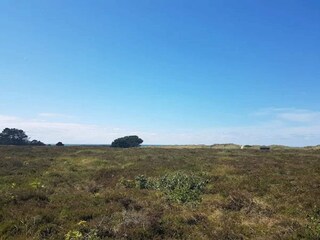Vakantiehuis Læsø  39