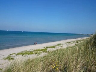 Vakantiehuis Læsø  27