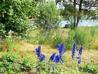 Holiday house Hjaeltevad  13